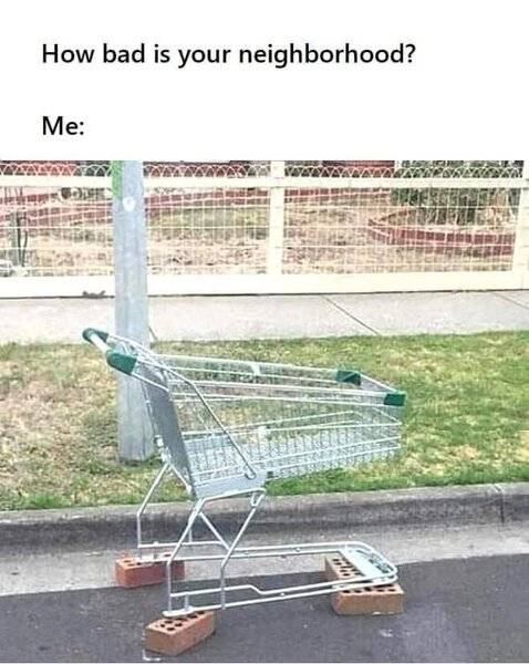 WN4I1cE.jpeg