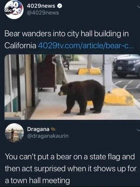 X 577.jpg