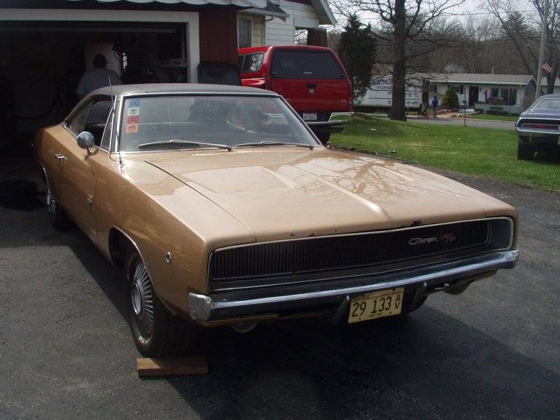 XX goldie Front.JPG