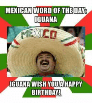 y-iguana-0-iguana-wish-youahappy-birthday-51098220.png