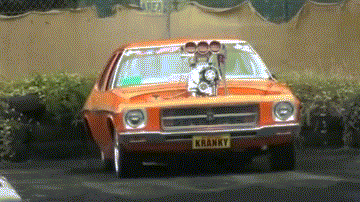 yAZg1.gif