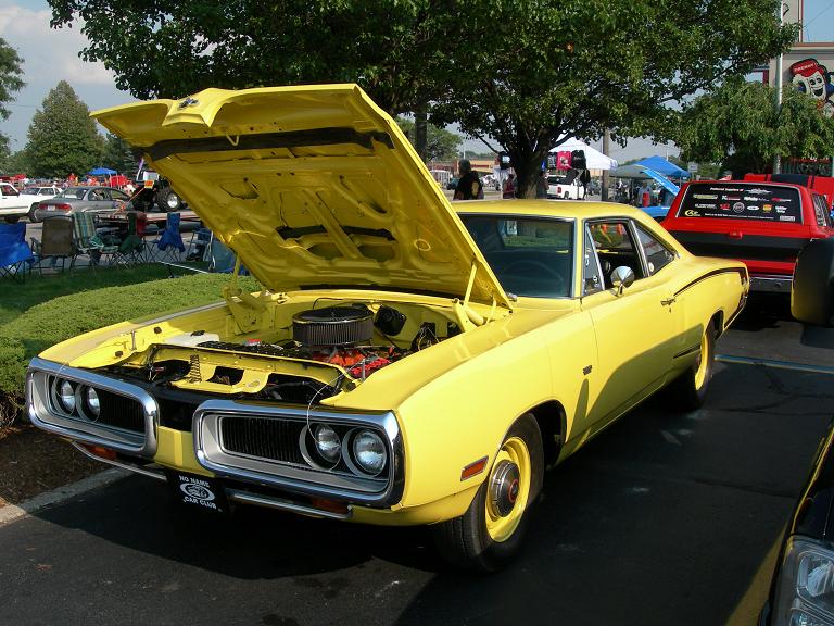 yellow 70 bee.JPG