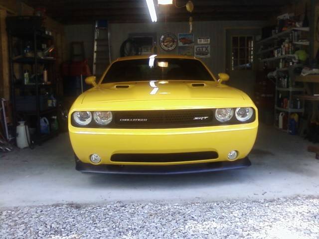 yellow jacket.JPG