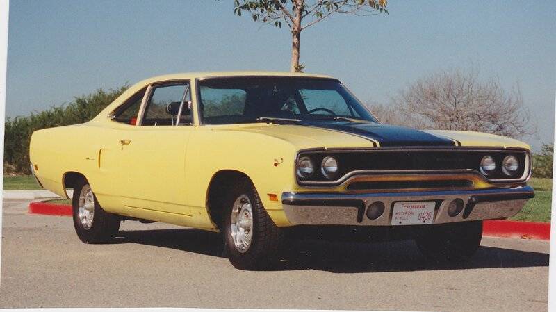 Yellow Road Runner.jpg