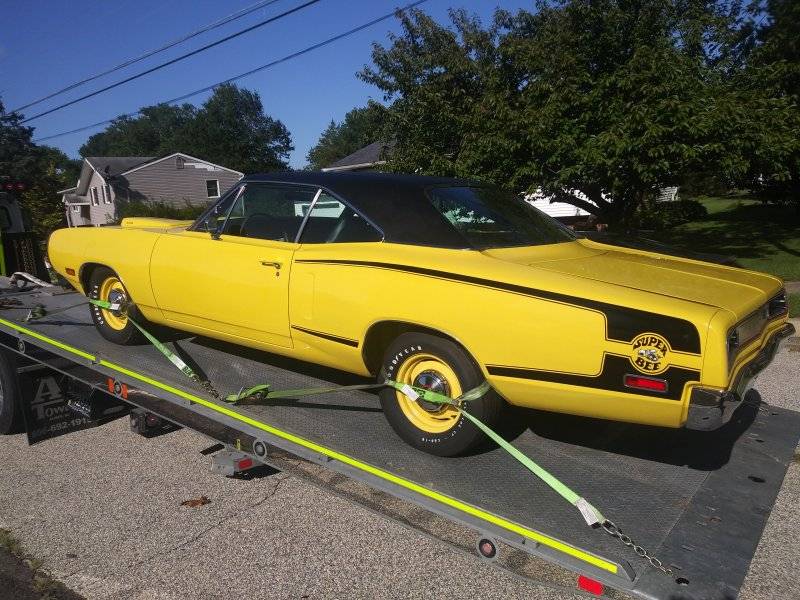 yellowbee.jpg