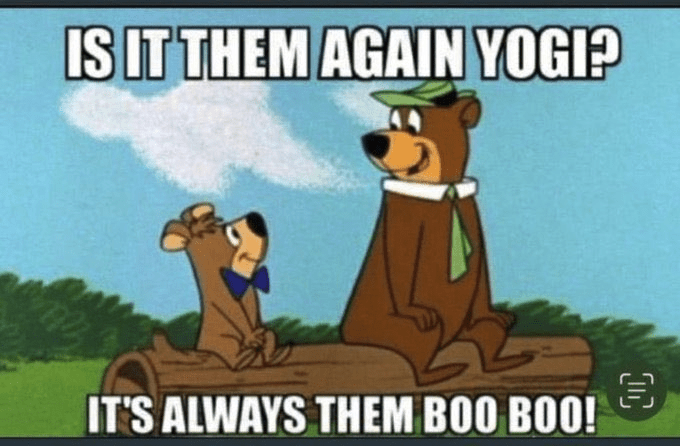 yogi.png