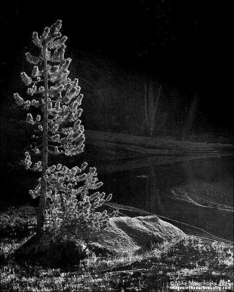 yosemite-051612-15.jpg