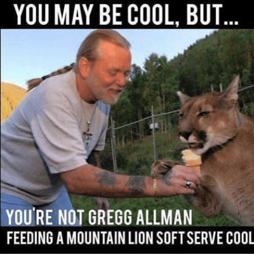 you-may-be-cool-but-you-re-not-gregg-allman-25084020.png