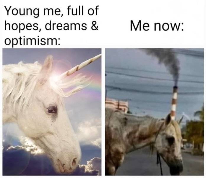 YoungMe.jpg