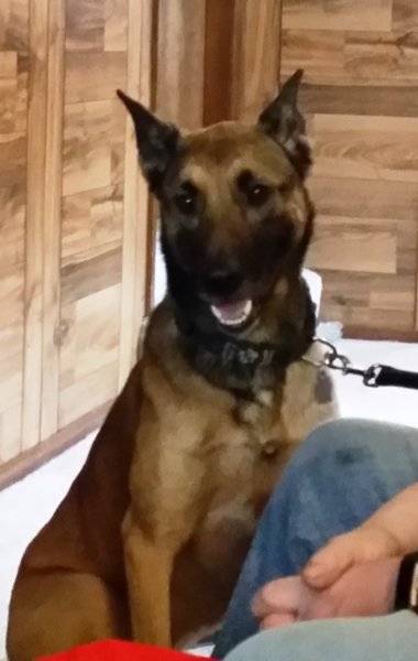 Zeus at Sams.jpg