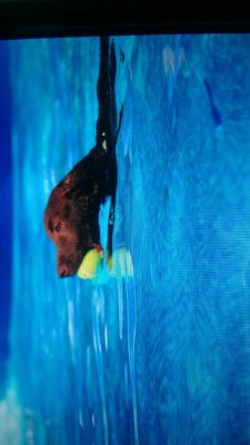 IMAG0909.jpg