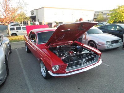 kc trends fastDSCN890230.jpg