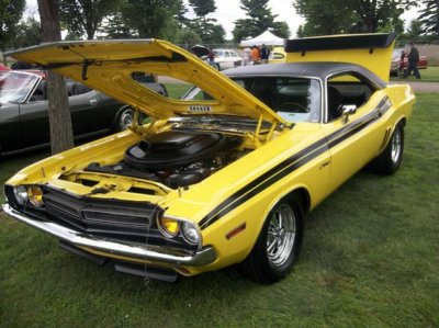 Challenger Yellow.jpg