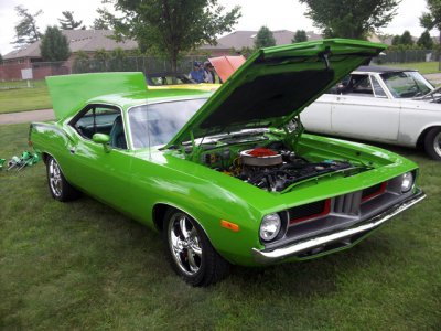 Cuda Green.jpg Cuda Green.jpg