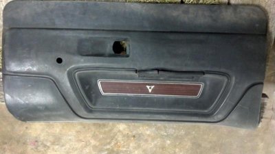 door panel.jpg