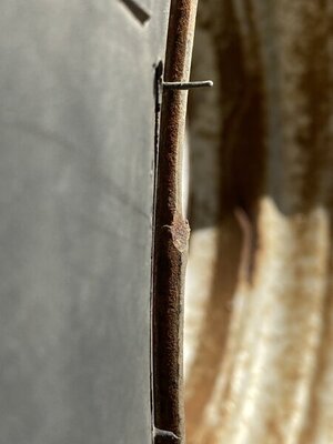 C90DEF70-4649-4B2E-BA4D-AC8CB0B838B6.jpeg C90DEF70-4649-4B2E-BA4D-AC8CB0B838B6.jpeg