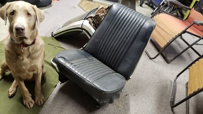 seat pic a.jpg