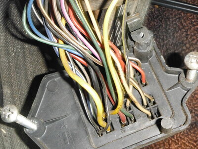 D77214D6-A447-480B-BCD1-2161FA07FCE9.jpeg D77214D6-A447-480B-BCD1-2161FA07FCE9.jpeg