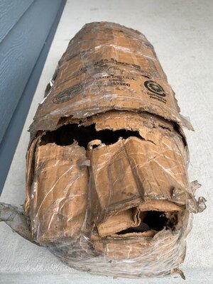 IMG_0392.jpg IMG_0392.jpg