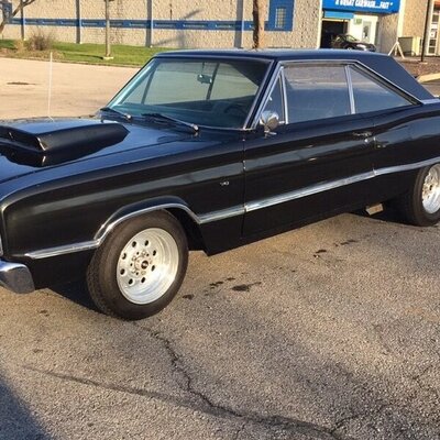 510FA12D-ADE1-46A1-A249-88B98B7BE5CC.jpeg 510FA12D-ADE1-46A1-A249-88B98B7BE5CC.jpeg