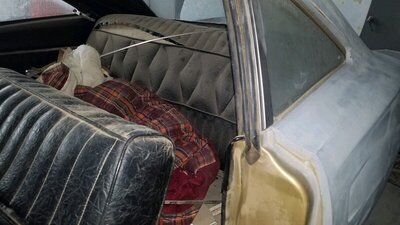 12329.jpeg 12329.jpeg