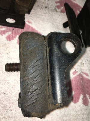 IMG_5596.jpg IMG_5596.jpg