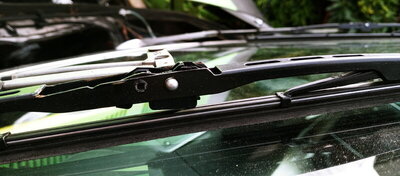 1903B750-6FC4-4430-BEE8-66B9845C5B2C.jpeg 1903B750-6FC4-4430-BEE8-66B9845C5B2C.jpeg