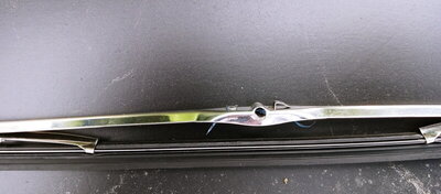 3E191C24-43BE-475B-B66B-4DFF609117AC.jpeg 3E191C24-43BE-475B-B66B-4DFF609117AC.jpeg