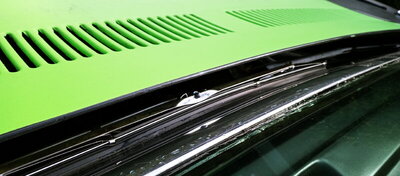 25DA7DC6-A9AF-4405-B36E-8D2D69E70D46.jpeg 25DA7DC6-A9AF-4405-B36E-8D2D69E70D46.jpeg