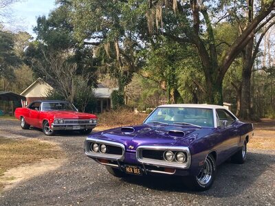 IMG_1330.jpg IMG_1330.jpg