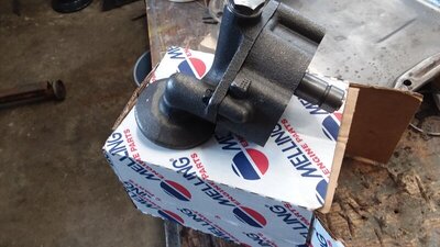 20210305_113000.jpg 20210305_113000.jpg