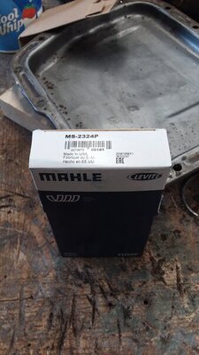 20210305_113123.jpg 20210305_113123.jpg