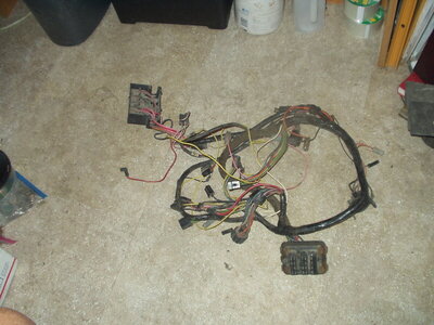 wiring.JPG wiring.JPG