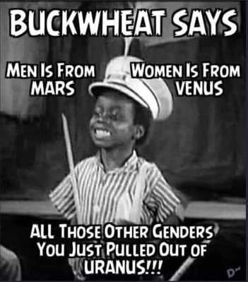 FB_IMG_1615323971515.jpg