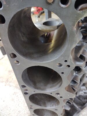 IMG_20210312_154128791.jpg IMG_20210312_154128791.jpg