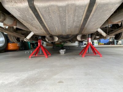 340CF316-820F-4CD3-835C-836D0473BC9E.jpeg 340CF316-820F-4CD3-835C-836D0473BC9E.jpeg