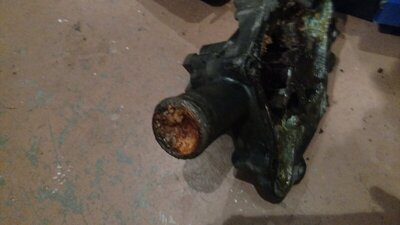 IMG_20210122_182812542.jpg IMG_20210122_182812542.jpg