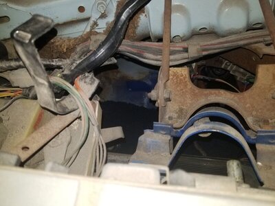 20210311_220955_resized.jpg 20210311_220955_resized.jpg