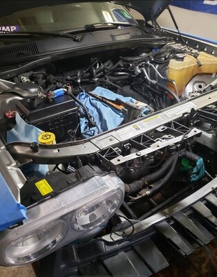 Screenshot_20210318-070927_Gallery.jpg Screenshot_20210318-070927_Gallery.jpg