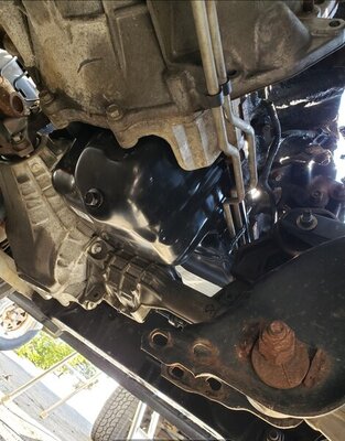 Screenshot_20210318-071045_Gallery.jpg Screenshot_20210318-071045_Gallery.jpg