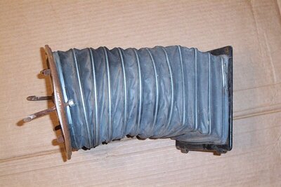 DCP_9646.jpg DCP_9646.jpg