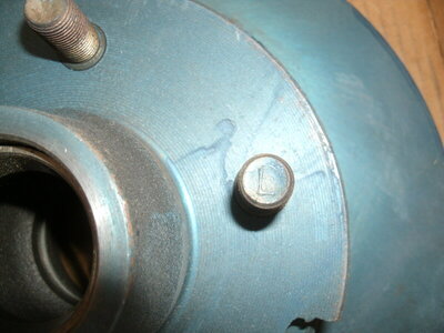 3-26-21 pics 007.JPG