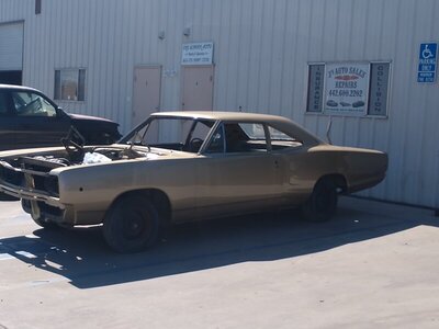 IMG_20191008_135104059.jpg IMG_20191008_135104059.jpg