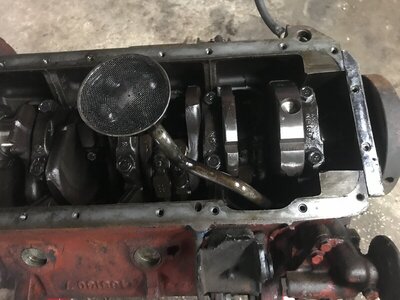 IMG_1864.JPG IMG_1864.JPG