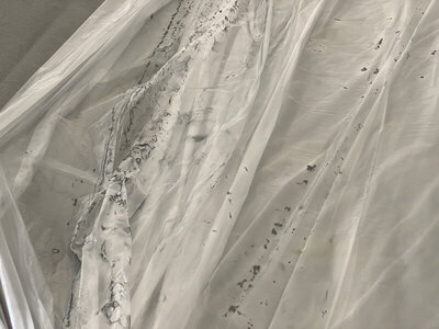 ABF2BA83-04BD-4A2E-B3CA-409CC6D4190D.jpeg ABF2BA83-04BD-4A2E-B3CA-409CC6D4190D.jpeg