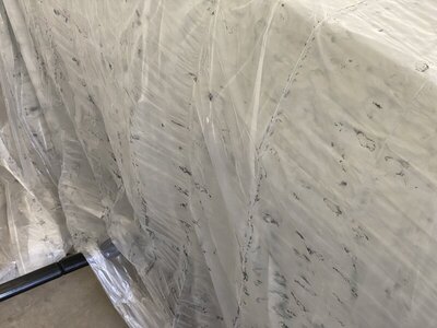 25299532-5B53-4D4C-BCA0-150EB29E83C6.jpeg 25299532-5B53-4D4C-BCA0-150EB29E83C6.jpeg