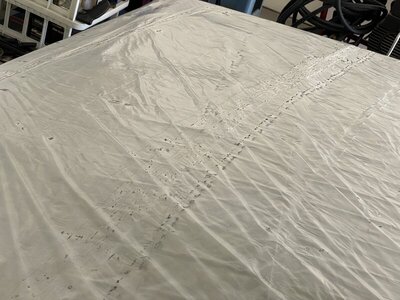 73132EDD-D400-4BE3-9A6B-7993BA4D4DEB.jpeg 73132EDD-D400-4BE3-9A6B-7993BA4D4DEB.jpeg