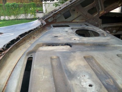 PackageTray_05.jpg PackageTray_05.jpg