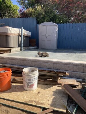 1776A6B6-3AED-4AEC-AFE5-E8CFE3500A4D.jpeg 1776A6B6-3AED-4AEC-AFE5-E8CFE3500A4D.jpeg