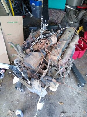 IMG_20210402_153601337.jpg IMG_20210402_153601337.jpg